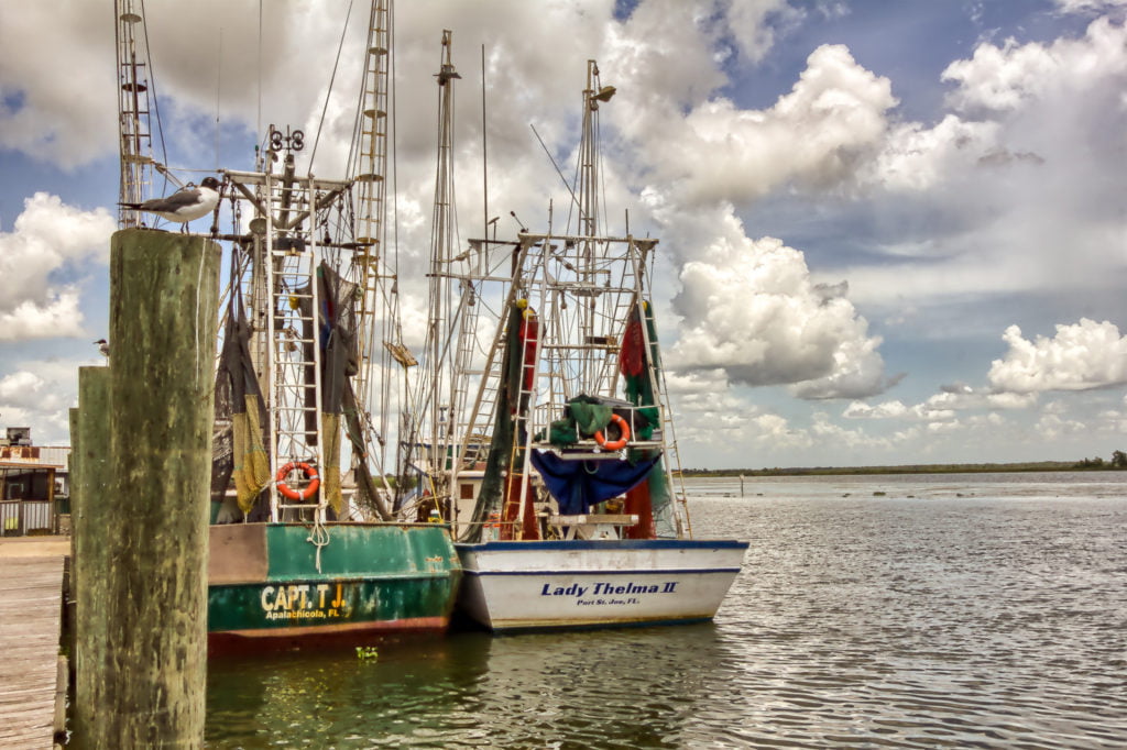 Docked Shrimp Boats in Apalachicola FL